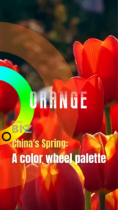China_s_Spring_Palette__Blossoms__Tourism_Surge_Define_2026_Season video poster