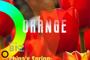 China_s_Spring_Palette__Blossoms__Tourism_Surge_Define_2026_Season video poster