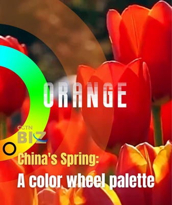 China_s_Spring_Palette__Blossoms__Tourism_Surge_Define_2026_Season video poster