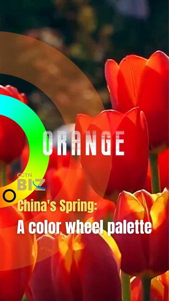 China_s_Spring_Palette__Blossoms__Tourism_Surge_Define_2026_Season video poster