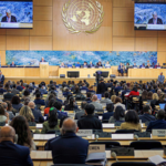 Chinese_NGOs_Spotlight_Human_Rights_Progress_at_UN_Council_Session