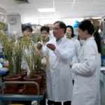 Chinese_Scientists_Develop_High_Yield_Disease_Resistant_Rice_Strain - Khabar Asia Chinese_Scientists_Develop_High_Yield_Disease_Resistant_Rice_Strain