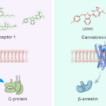 Chinese_Scientists_Develop_Non_Addictive_Pain_Relief_from_Cannabis