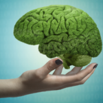 Chinese_Scientists_Uncover_Brain_s_Thought_Perception_Switch_Mechanism