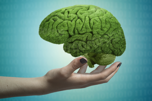 Chinese_Scientists_Uncover_Brain_s_Thought_Perception_Switch_Mechanism