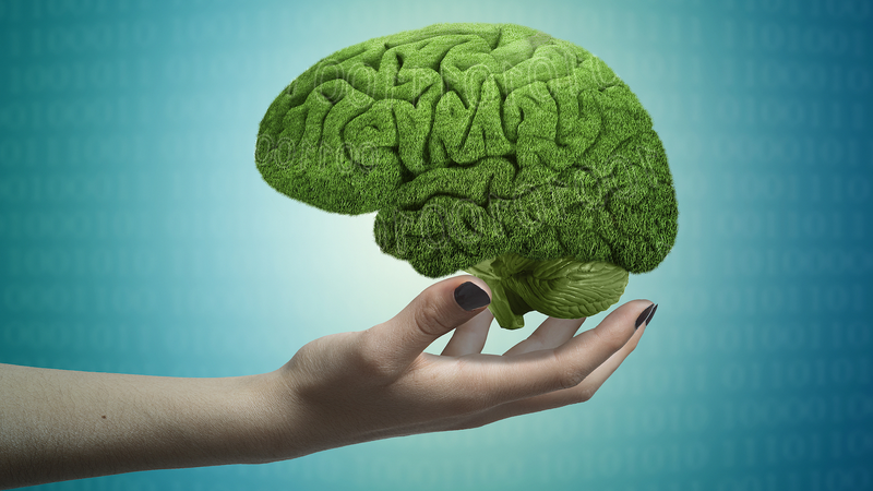 Chinese_Scientists_Uncover_Brain_s_Thought_Perception_Switch_Mechanism