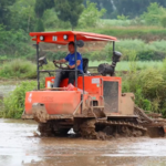 Chongqing_Farmers_Pioneer_Double_Crop_Rice_Trials_in_2026