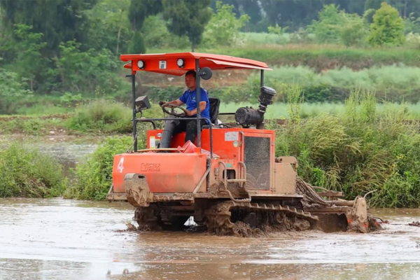 Chongqing_Farmers_Pioneer_Double_Crop_Rice_Trials_in_2026