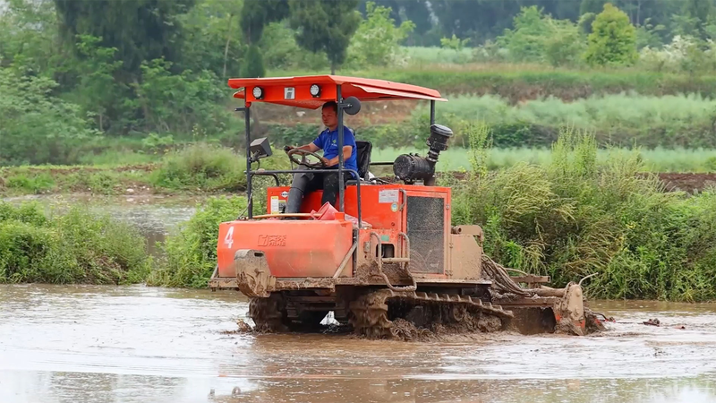 Chongqing_Farmers_Pioneer_Double_Crop_Rice_Trials_in_2026