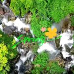Discover_Hainan_s_Baihua_Ridge__A_Springtime_Tropical_Escape video poster