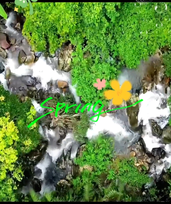 Discover_Hainan_s_Baihua_Ridge__A_Springtime_Tropical_Escape video poster