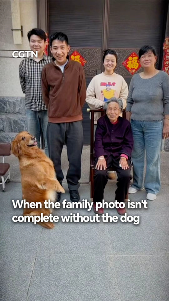 Dog_Steals_Spotlight_in_Family_Photo__Captures_Hearts_Across_China video poster