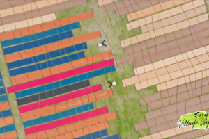 Shunde’s Waterways: Where Tradition Fuels Modern Innovation video poster