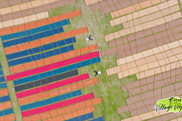 Shunde’s Waterways: Where Tradition Fuels Modern Innovation video poster