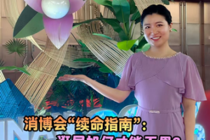 Surviving the Hainan Expo: A Reporter’s 2026 Guide video poster