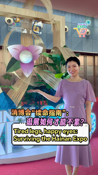 Surviving the Hainan Expo: A Reporter’s 2026 Guide video poster