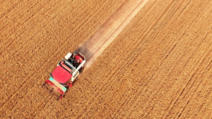 Energy_Crisis_Threatens_Global_Food_Security__FAO_Warns video poster