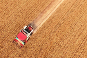 Energy_Crisis_Threatens_Global_Food_Security__FAO_Warns video poster