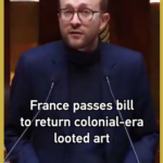 France_s_New_Artifact_Law__A_Path_to_Reclaim_China_s_Lost_Treasures_ video poster