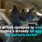 Fuel_Costs__Drought_Strain_California_Agriculture_in_2026 video poster