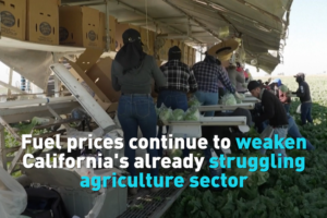 Fuel_Costs__Drought_Strain_California_Agriculture_in_2026 video poster