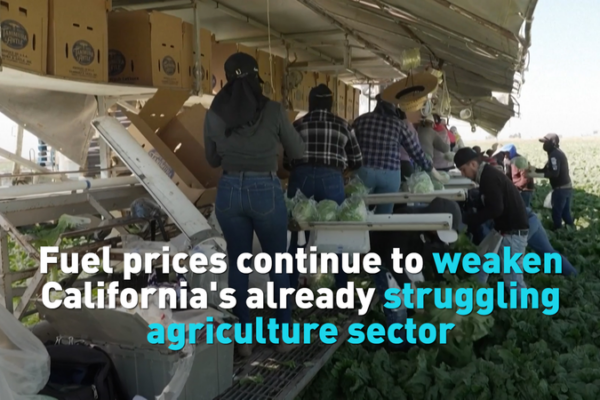 Fuel_Costs__Drought_Strain_California_Agriculture_in_2026 video poster