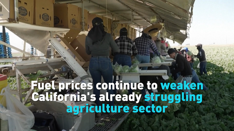 Fuel_Costs__Drought_Strain_California_Agriculture_in_2026 video poster