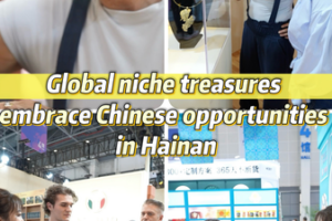 Global_Niche_Brands_Thrive_in_Hainan_s_Booming_Market video poster