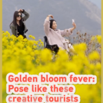 Golden_Bloom_Fever_Sweeps_Shanxi_as_Tourists_Flock_to_Rapeseed_Fields video poster
