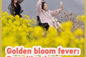 Golden_Bloom_Fever_Sweeps_Shanxi_as_Tourists_Flock_to_Rapeseed_Fields video poster
