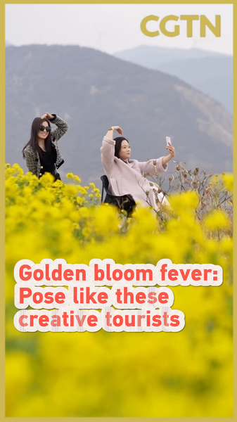 Golden_Bloom_Fever_Sweeps_Shanxi_as_Tourists_Flock_to_Rapeseed_Fields video poster