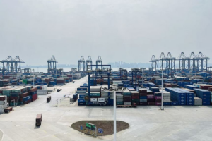 Hainan_s_Yangpu_Port_Sees_94__Surge_in_Q1_Container_Throughput