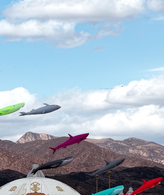 Hohhot_s_Sky_High_Spring_Kite_Festival_Captivates_Global_Audiences video poster