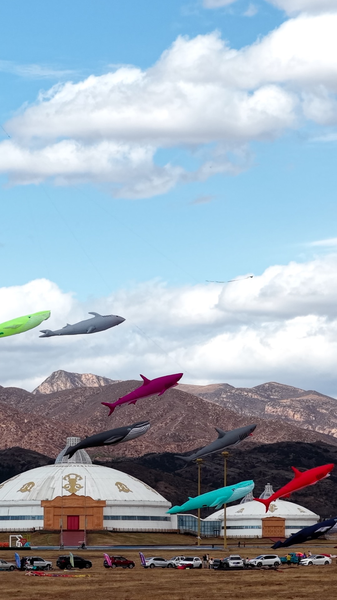 Hohhot_s_Sky_High_Spring_Kite_Festival_Captivates_Global_Audiences video poster