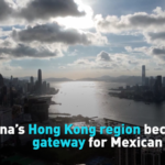 Hong_Kong_Emerges_as_Key_Trade_Gateway_for_Mexico_in_Asian_Markets video poster