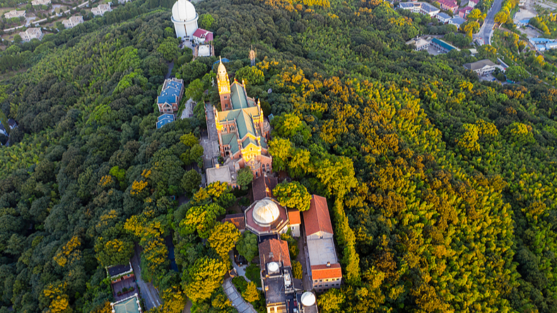 Speed Meets Serenity: Explore Shanghai’s Sheshan National Forest Park This Weekend video poster