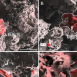 Lunar_Soil_Reveals_Solar_System_s_Organic_Evolution__Chinese_Study_Finds - Khabar Asia Lunar_Soil_Reveals_Solar_System_s_Organic_Evolution__Chinese_Study_Finds
