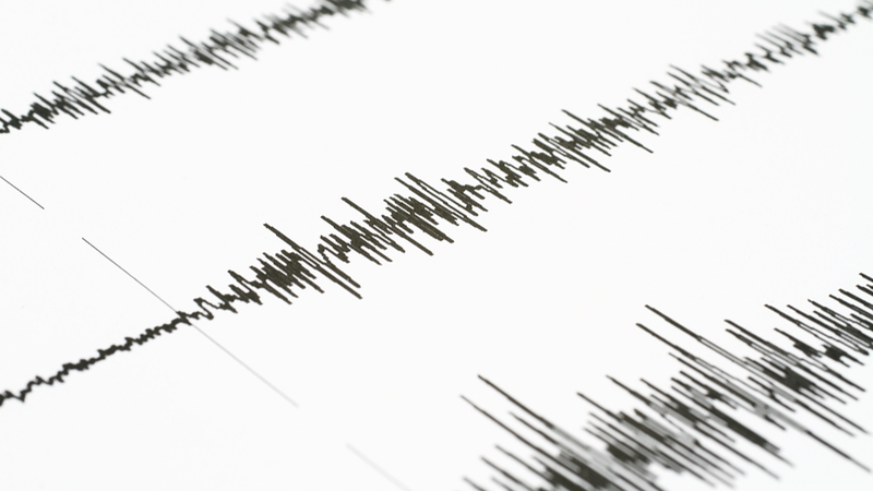 Major_7_4_Quake_Strikes_Northeastern_Japan__Tsunami_Warning_Activated video poster