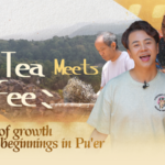 Pu’er’s Dual Harvest: Where Tea Traditions Brew a Coffee Renaissance video poster