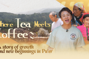 Pu’er’s Dual Harvest: Where Tea Traditions Brew a Coffee Renaissance video poster