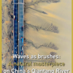 Nature_s_Canvas__Qiantang_River_s_Tidal_Trees_Dazzle_During_Qingming_Festival video poster