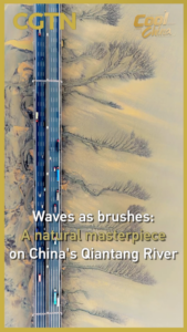 Nature_s_Canvas__Qiantang_River_s_Tidal_Trees_Dazzle_During_Qingming_Festival video poster