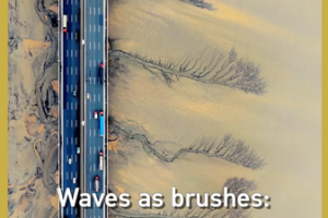 Nature_s_Canvas__Qiantang_River_s_Tidal_Trees_Dazzle_During_Qingming_Festival video poster