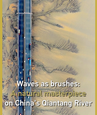 Nature_s_Canvas__Qiantang_River_s_Tidal_Trees_Dazzle_During_Qingming_Festival video poster