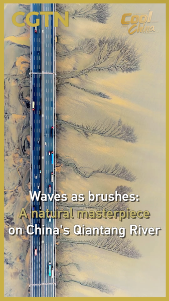 Nature_s_Canvas__Qiantang_River_s_Tidal_Trees_Dazzle_During_Qingming_Festival_poster - Khabar Asia Nature_s_Canvas__Qiantang_River_s_Tidal_Trees_Dazzle_During_Qingming_Festival video poster