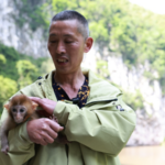 ‘Monkey Commander’ Prepares for Retirement After Two Decades of Conservation