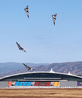 Sport_Kites_Illuminate_Hohhot_s_2026_Sky_with_Cultural_Energy video poster