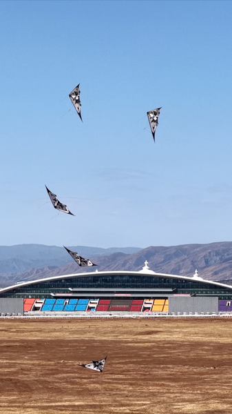 Sport_Kites_Illuminate_Hohhot_s_2026_Sky_with_Cultural_Energy video poster