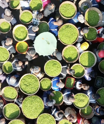 Spring_in_a_Cup__Asia_s_Seasonal_Beverage_Trends_Bloom_in_2026 video poster