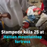Stampede_at_Haitian_Fortress_Leaves_25_Dead__Dozens_Injured video poster